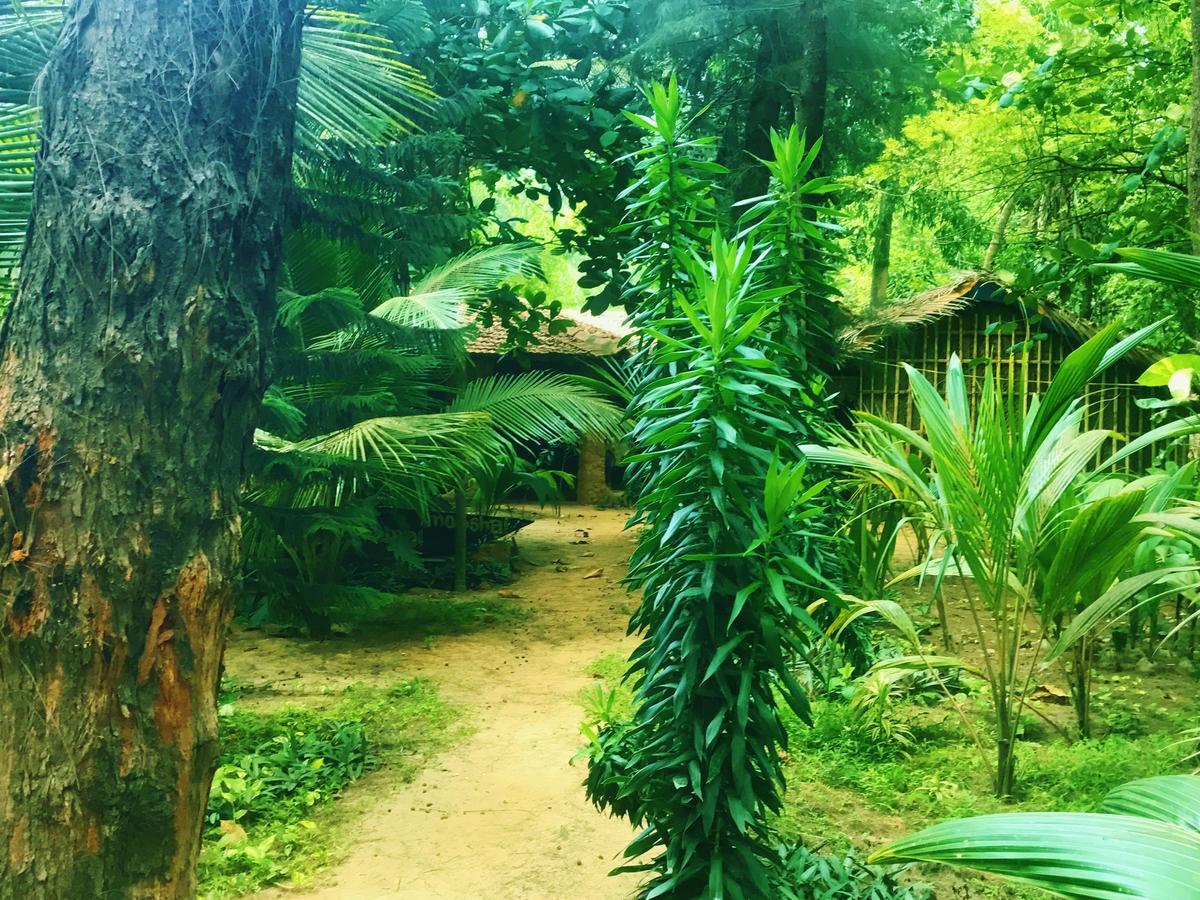 Nirvana Nature Hotel โกการ์นา ภายนอก รูปภาพ