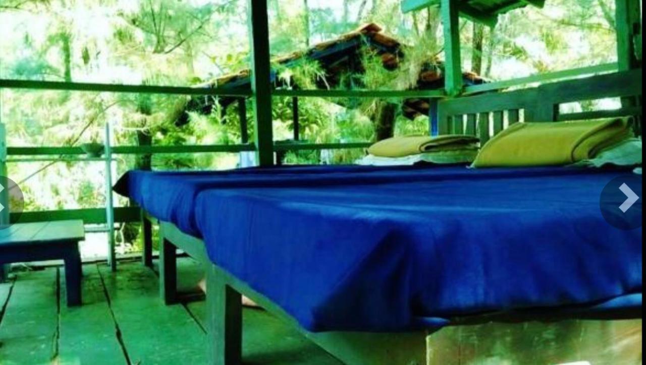 Nirvana Nature Hotel โกการ์นา ภายนอก รูปภาพ